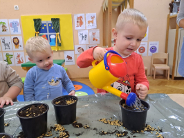 IMG 5289