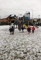 IMG 3369
