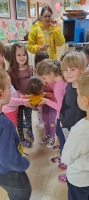 IMG 7535