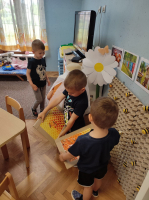 IMG 3511