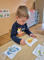 IMG 4614