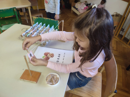 IMG 4584