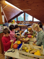IMG 4592