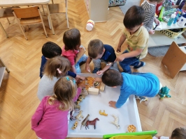 IMG 20200616 084925