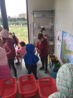 IMG 0676