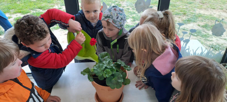 IMG 1156