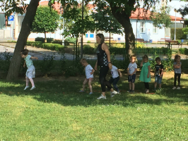 IMG 3581