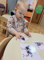 IMG 5260