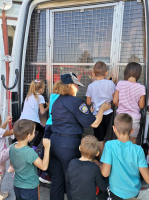 IMG 8537