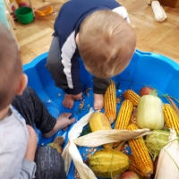 IMG-15c5620191691be503dbf81d96d28c98-V