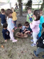 IMG-2afe0426496e660fe9243800a626a796-V