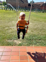 IMG 4675