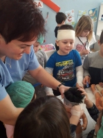 IMG-6c714da0182c2d65a2ca103ec6871ebc-V