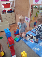 IMG 4329