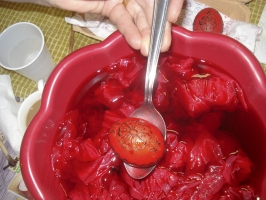 DSC09117